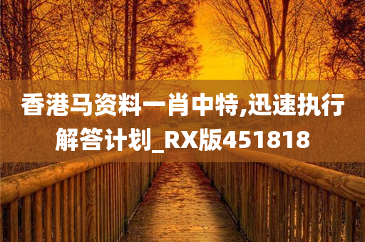 香港马资料一肖中特,迅速执行解答计划_RX版451818