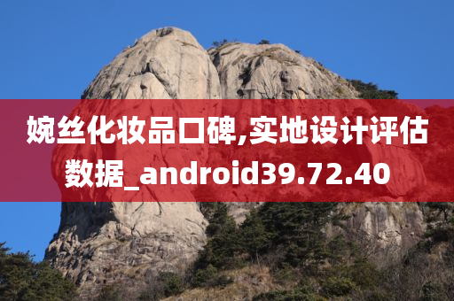 婉丝化妆品口碑,实地设计评估数据_android39.72.40