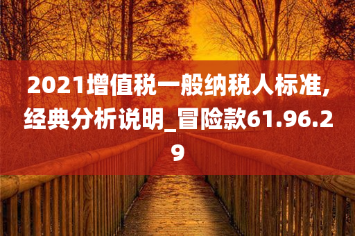 2021增值税一般纳税人标准,经典分析说明_冒险款61.96.29