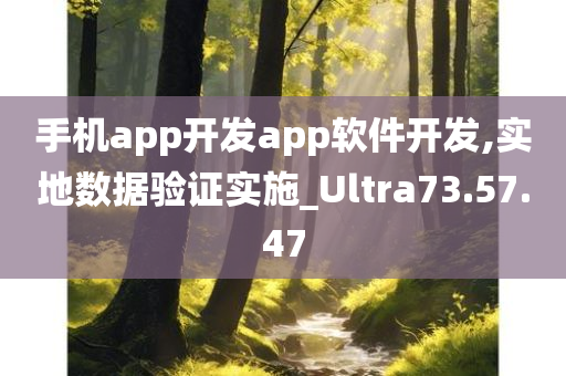 手机app开发app软件开发,实地数据验证实施_Ultra73.57.47