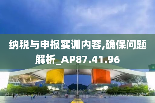 纳税与申报实训内容,确保问题解析_AP87.41.96