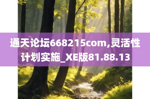 通天论坛668215com,灵活性计划实施_XE版81.88.13