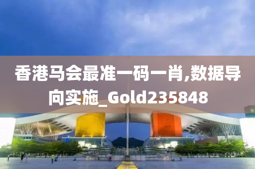 香港马会最准一码一肖,数据导向实施_Gold235848