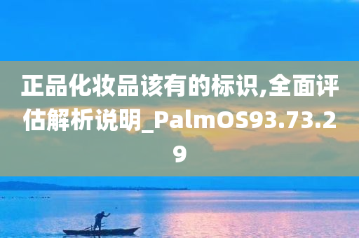 正品化妆品该有的标识,全面评估解析说明_PalmOS93.73.29