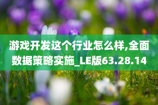 游戏开发这个行业怎么样,全面数据策略实施_LE版63.28.14