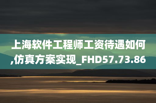 上海软件工程师工资待遇如何,仿真方案实现_FHD57.73.86