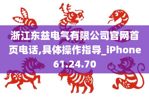 浙江东益电气有限公司官网首页电话,具体操作指导_iPhone61.24.70