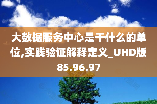 大数据服务中心是干什么的单位,实践验证解释定义_UHD版85.96.97