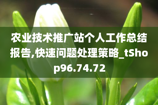 农业技术推广站个人工作总结报告,快速问题处理策略_tShop96.74.72