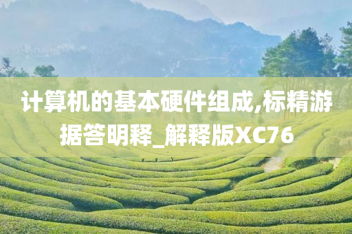 计算机的基本硬件组成,标精游据答明释_解释版XC76