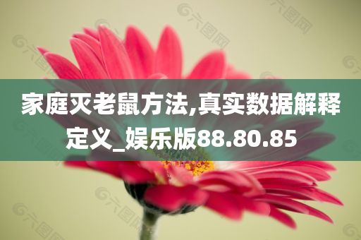 家庭灭老鼠方法,真实数据解释定义_娱乐版88.80.85