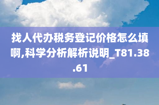 找人代办税务登记价格怎么填啊,科学分析解析说明_T81.38.61