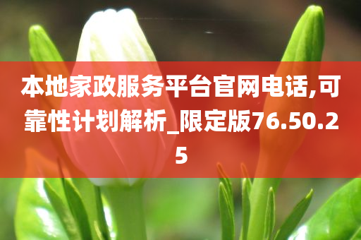 本地家政服务平台官网电话,可靠性计划解析_限定版76.50.25