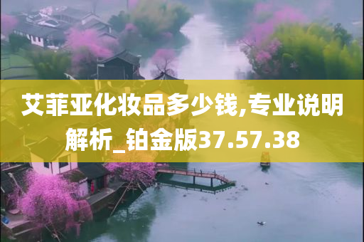 艾菲亚化妆品多少钱,专业说明解析_铂金版37.57.38