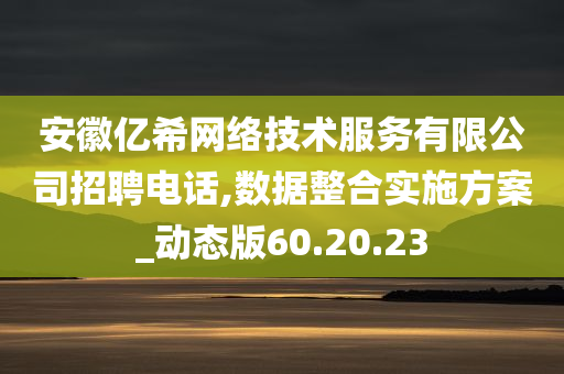 安徽亿希网络技术服务有限公司招聘电话,数据整合实施方案_动态版60.20.23