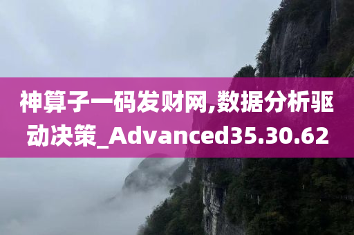 神算子一码发财网,数据分析驱动决策_Advanced35.30.62