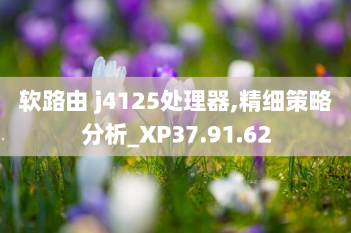 软路由 j4125处理器,精细策略分析_XP37.91.62