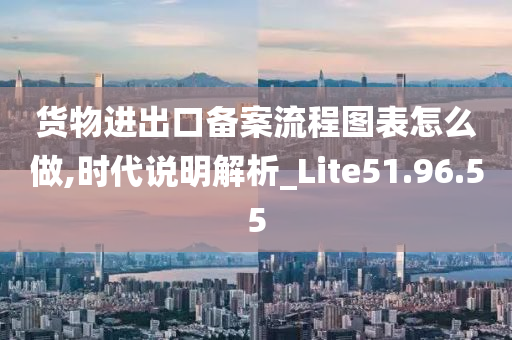 货物进出口备案流程图表怎么做,时代说明解析_Lite51.96.55