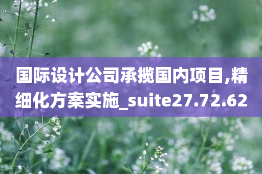 国际设计公司承揽国内项目,精细化方案实施_suite27.72.62