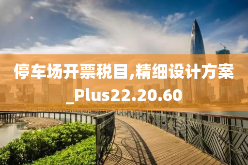 停车场开票税目,精细设计方案_Plus22.20.60