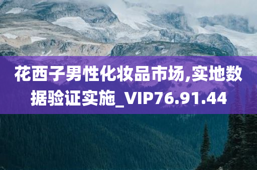 花西子男性化妆品市场,实地数据验证实施_VIP76.91.44