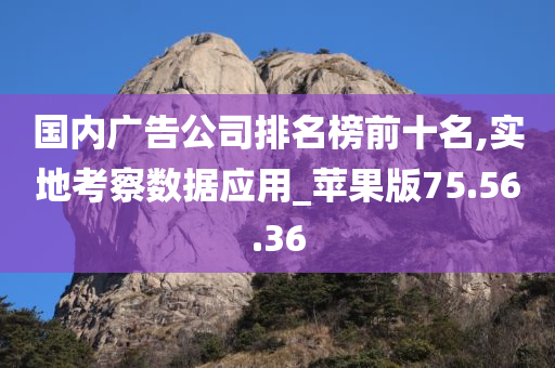 国内广告公司排名榜前十名,实地考察数据应用_苹果版75.56.36