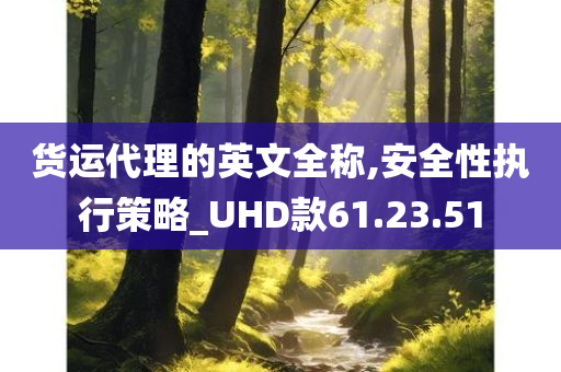 货运代理的英文全称,安全性执行策略_UHD款61.23.51