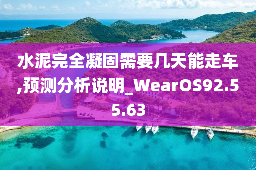 水泥完全凝固需要几天能走车,预测分析说明_WearOS92.55.63