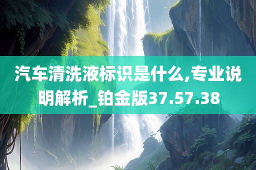 汽车清洗液标识是什么,专业说明解析_铂金版37.57.38