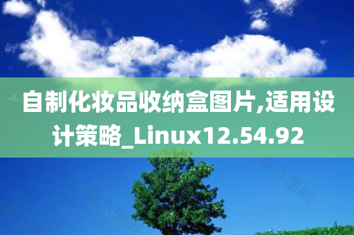 自制化妆品收纳盒图片,适用设计策略_Linux12.54.92