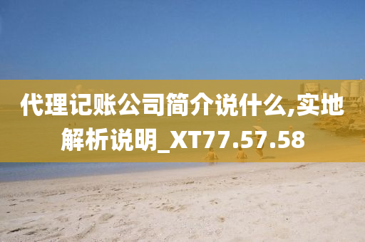 代理记账公司简介说什么,实地解析说明_XT77.57.58