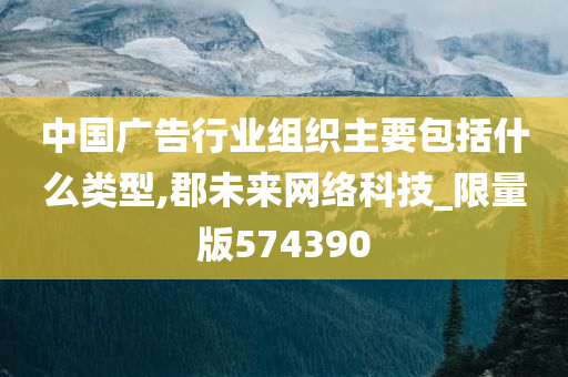 中国广告行业组织主要包括什么类型,郡未来网络科技_限量版574390