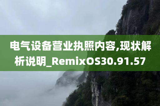 电气设备营业执照内容,现状解析说明_RemixOS30.91.57