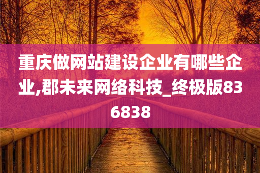 重庆做网站建设企业有哪些企业,郡未来网络科技_终极版836838