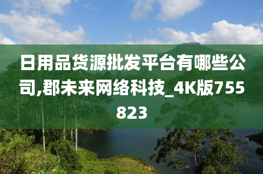 日用品货源批发平台有哪些公司,郡未来网络科技_4K版755823