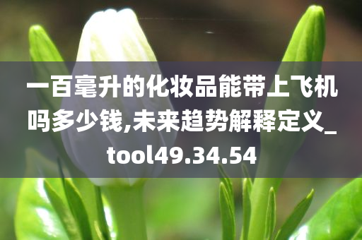 一百毫升的化妆品能带上飞机吗多少钱,未来趋势解释定义_tool49.34.54