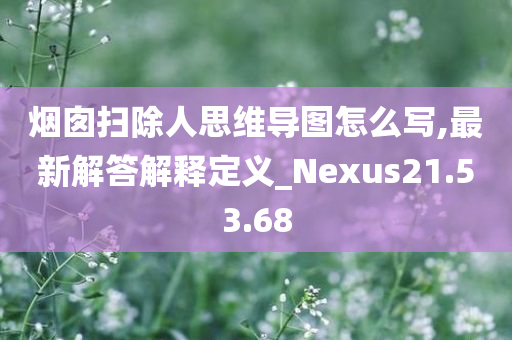 烟囱扫除人思维导图怎么写,最新解答解释定义_Nexus21.53.68