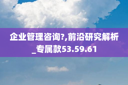 企业管理咨询?,前沿研究解析_专属款53.59.61