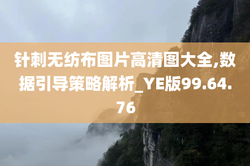 针刺无纺布图片高清图大全,数据引导策略解析_YE版99.64.76