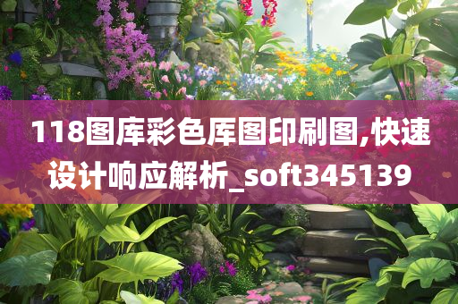 118图库彩色厍图印刷图,快速设计响应解析_soft345139