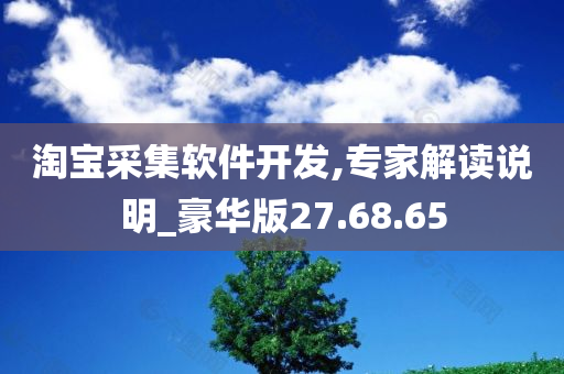 淘宝采集软件开发,专家解读说明_豪华版27.68.65