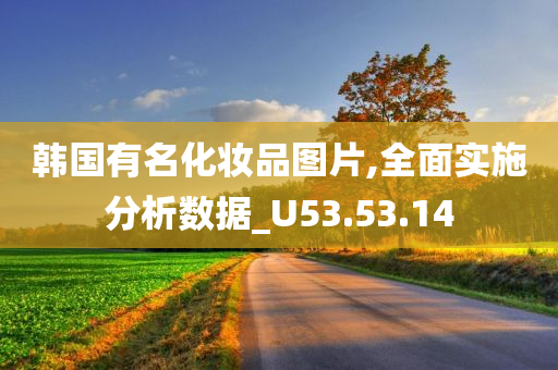 韩国有名化妆品图片,全面实施分析数据_U53.53.14