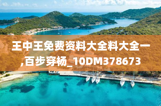 王中王免费资料大全料大全一,百步穿杨_10DM378673