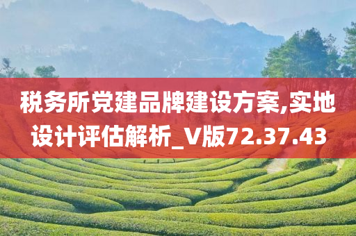 税务所党建品牌建设方案,实地设计评估解析_V版72.37.43