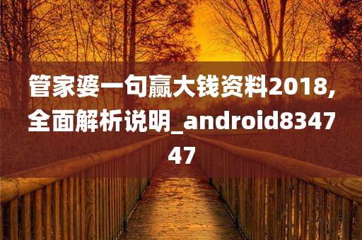 管家婆一句赢大钱资料2018,全面解析说明_android834747