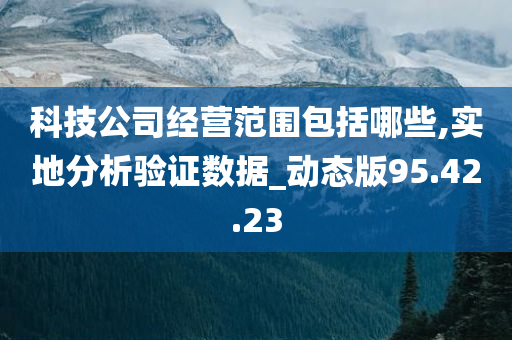 科技公司经营范围包括哪些,实地分析验证数据_动态版95.42.23