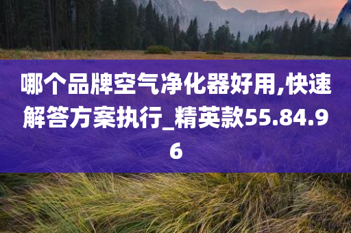 哪个品牌空气净化器好用,快速解答方案执行_精英款55.84.96