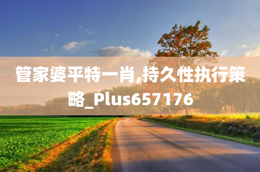 管家婆平特一肖,持久性执行策略_Plus657176