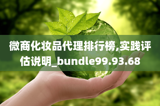 微商化妆品代理排行榜,实践评估说明_bundle99.93.68