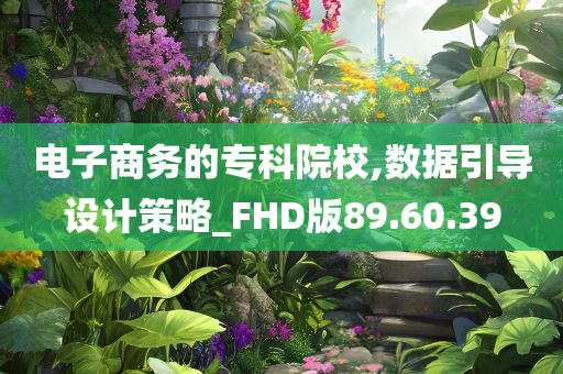 电子商务的专科院校,数据引导设计策略_FHD版89.60.39